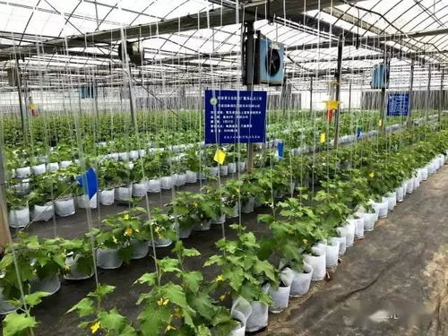 苏州市首张食用农产品电子合格证在常熟启用，推动零售食品安全监管升级