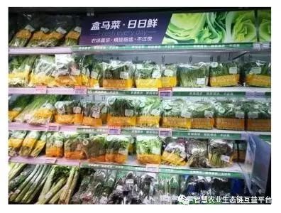 站在新零售的风口 农产品供应链如何拥抱变革