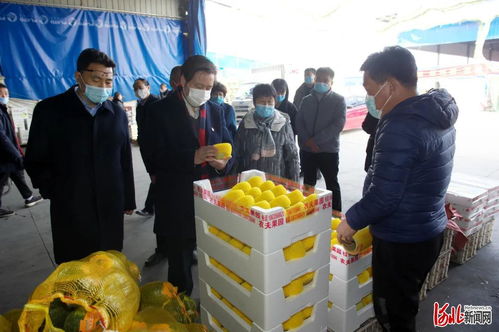 守护舌尖安全 柳金钟实地检查，邢台市食用农产品信息追溯系统建设加速