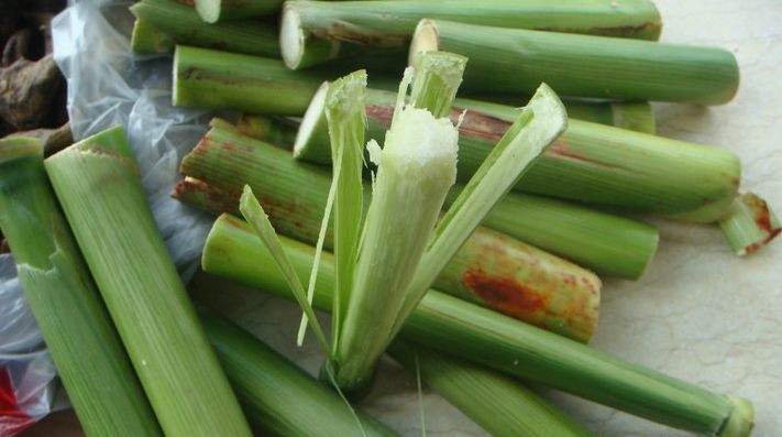 崇明甜芦粟提早上市 朋友圈“干湿之争”背后的消费新趋势