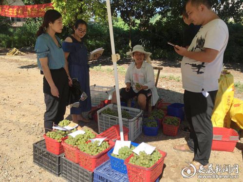 从田间到餐桌的安心承诺——解读涟源市食用农产品合格证制度